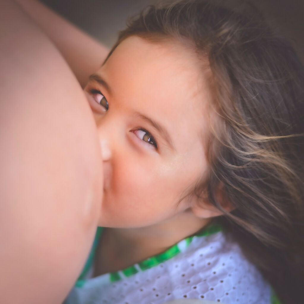 SHOT TO PRINT CONCEPT FOR ARTISTIC PORTRAITS