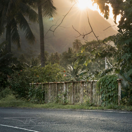 FAAONE - INSTANT SUSPENDU